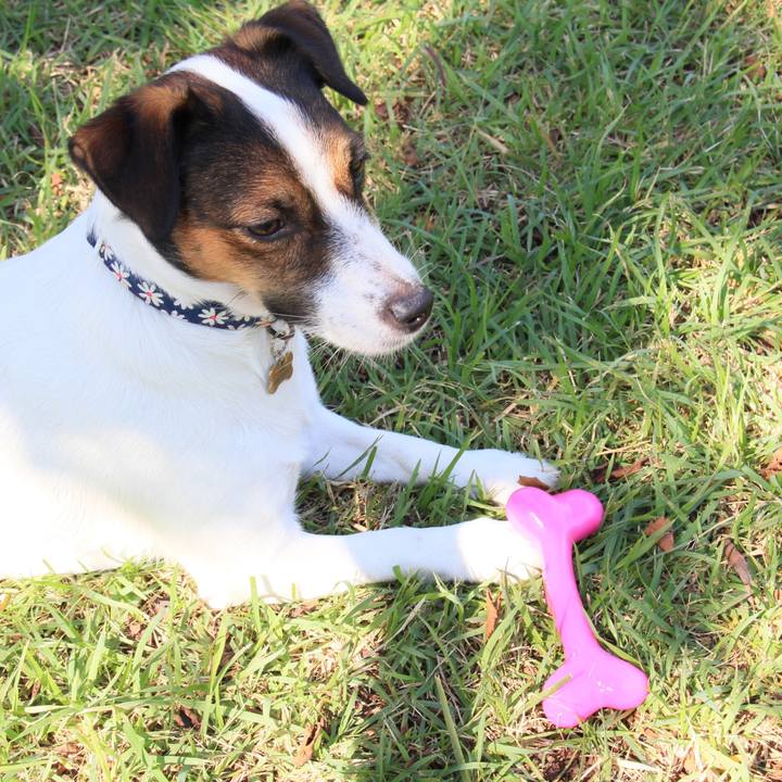 F02de21f da1e 4334 b290 ca85cd244cba