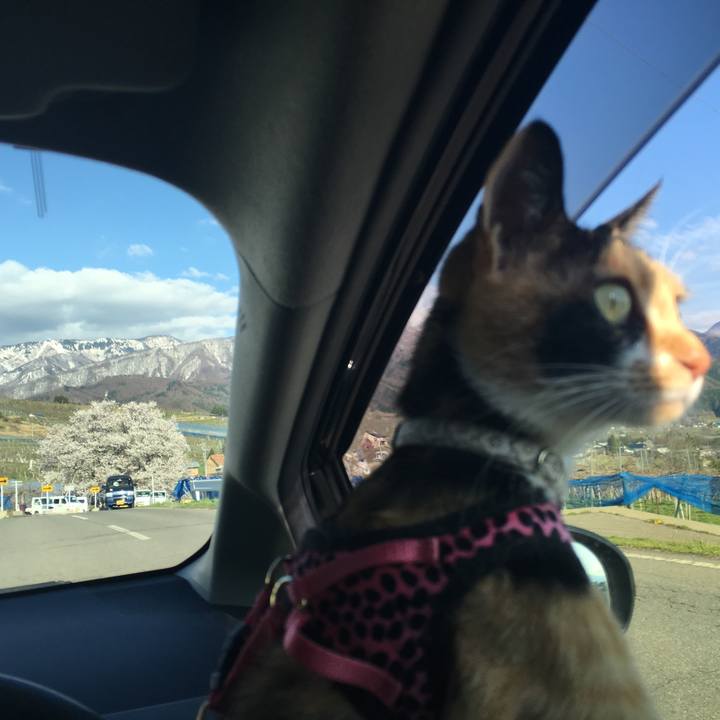 F02e77fe aec1 4503 827d ec89c0572185