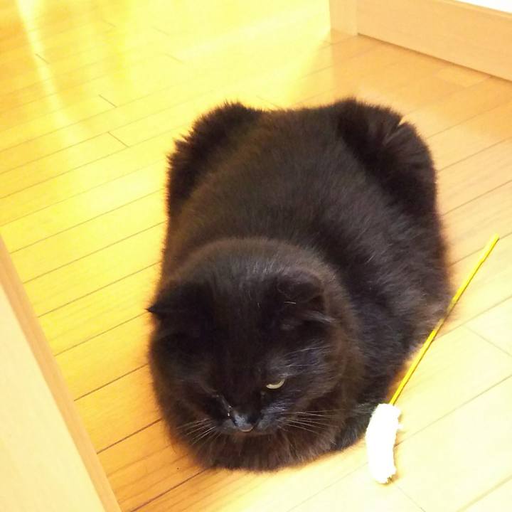 F02ea117 d3a9 48ec ba67 e7d29fa4749a