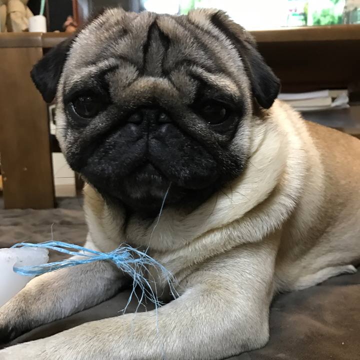 F02ea710 73cd 4978 ac7a 37c4dd033a56