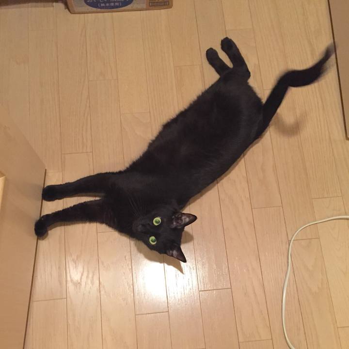 F02fa660 9355 4c3b 9b73 feab543fcb2e