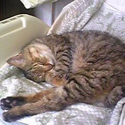 F02fe100 4c2d 49c5 b82d eb665c4586bb