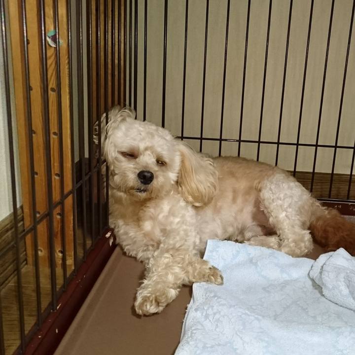 F030321f afbc 48b8 92ed 4b6466076cc7