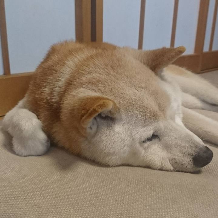 F030a3d7 b34b 472d a8dc 61bcddd1936c