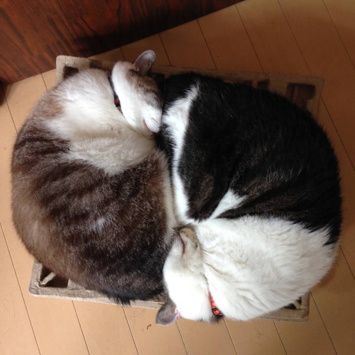 F030e506 2aca 4ad7 8ae5 b7c49723b3e8