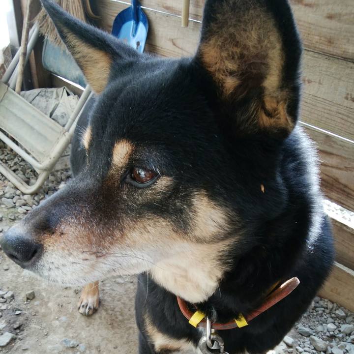 F0315202 0cf5 4ec2 8571 7a6da89caf97