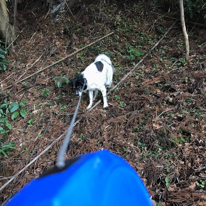 F031df47 d7fb 4b18 86a7 5e4dc1174190