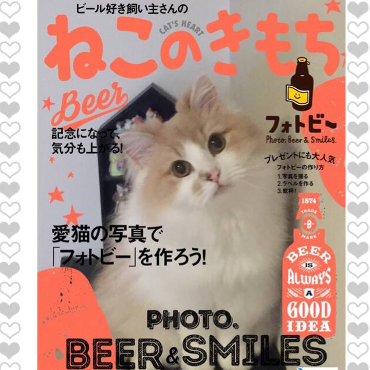 F03221ee 8a5a 4d52 b641 6392a85774f2