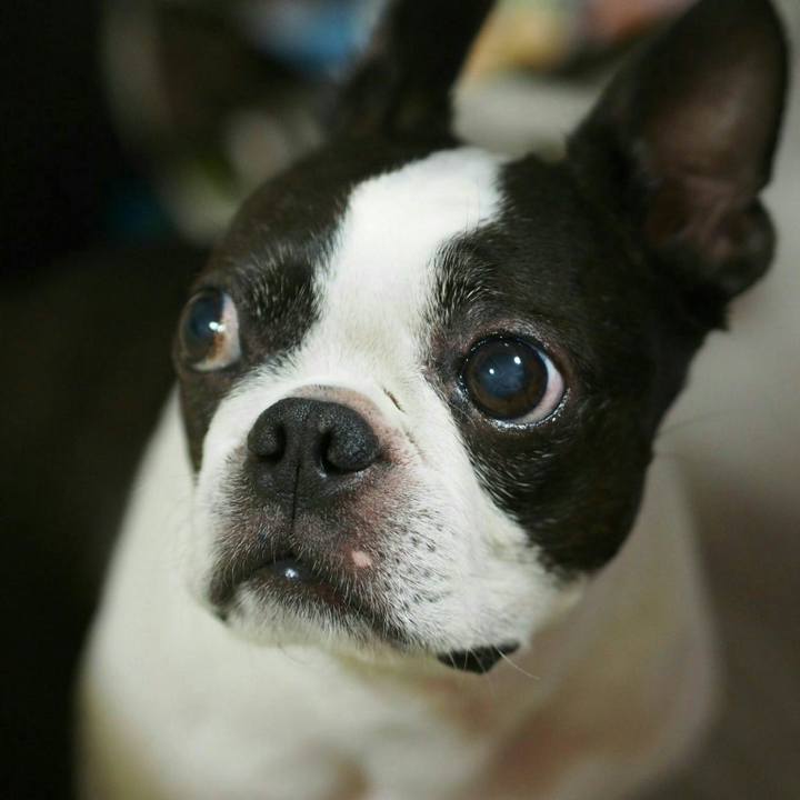 F0323186 7f9f 45fe 9d40 c35e857346ed