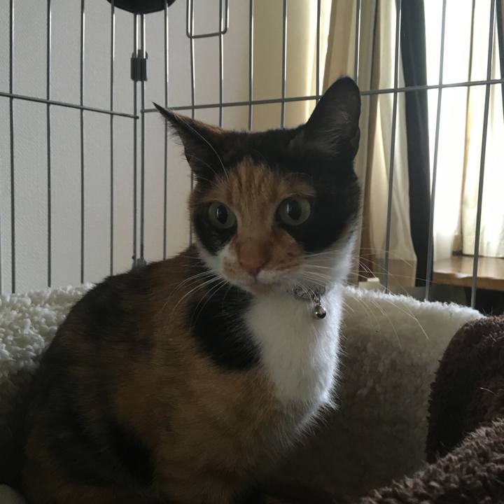 F032de61 6eb3 4e0e a0fc 10e84829180f