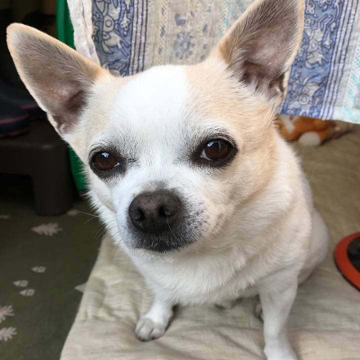 F03370a3 e5f1 41c0 aa79 8f1be62d71d6