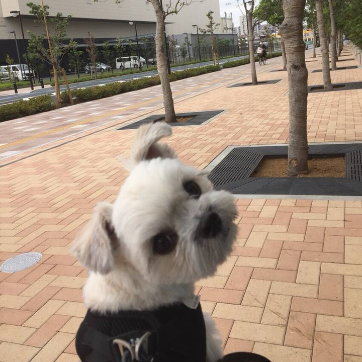 F03379fa 45f9 43cb b876 ef935886809d