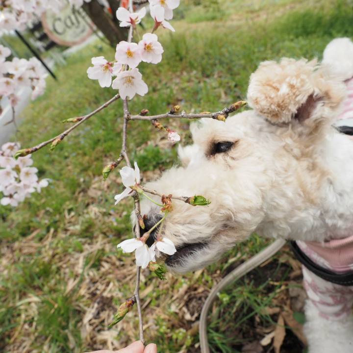 F0345a91 5538 45e9 87bd c65dc2ed3240