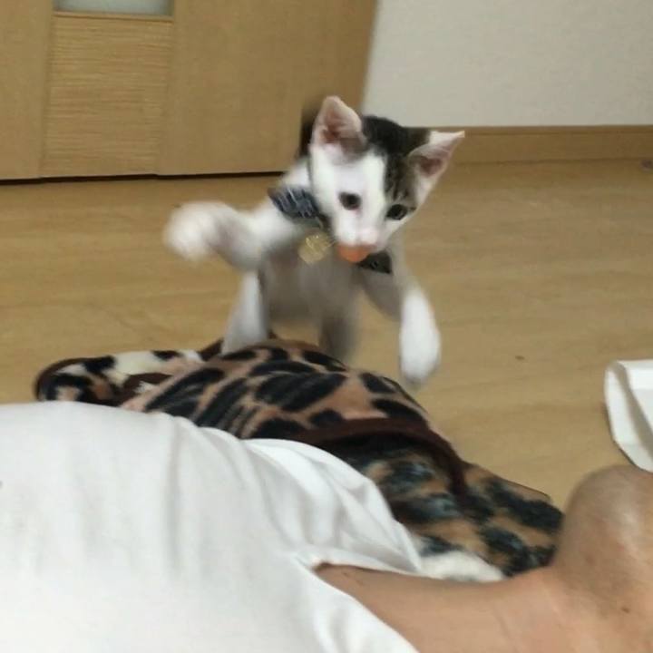 F034a49d a8e3 452a ae03 51e781c58eb6