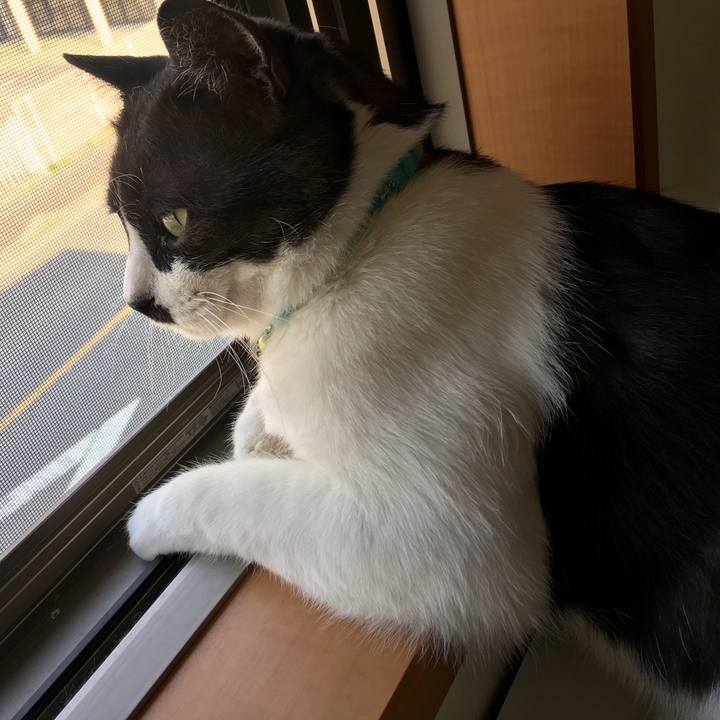 F034a8b6 6566 40df be13 c30fafcf492d