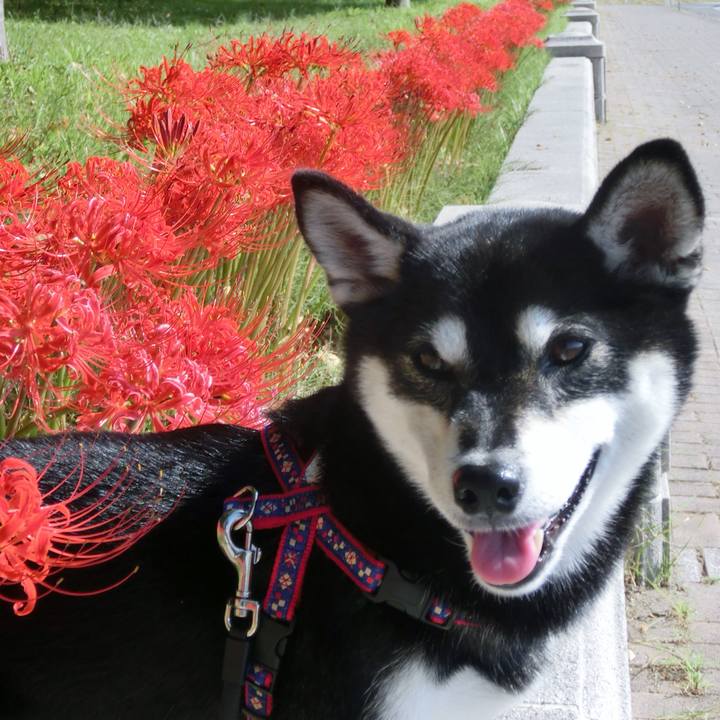 F034cc2f 4be8 4840 ac67 88344dd4a817