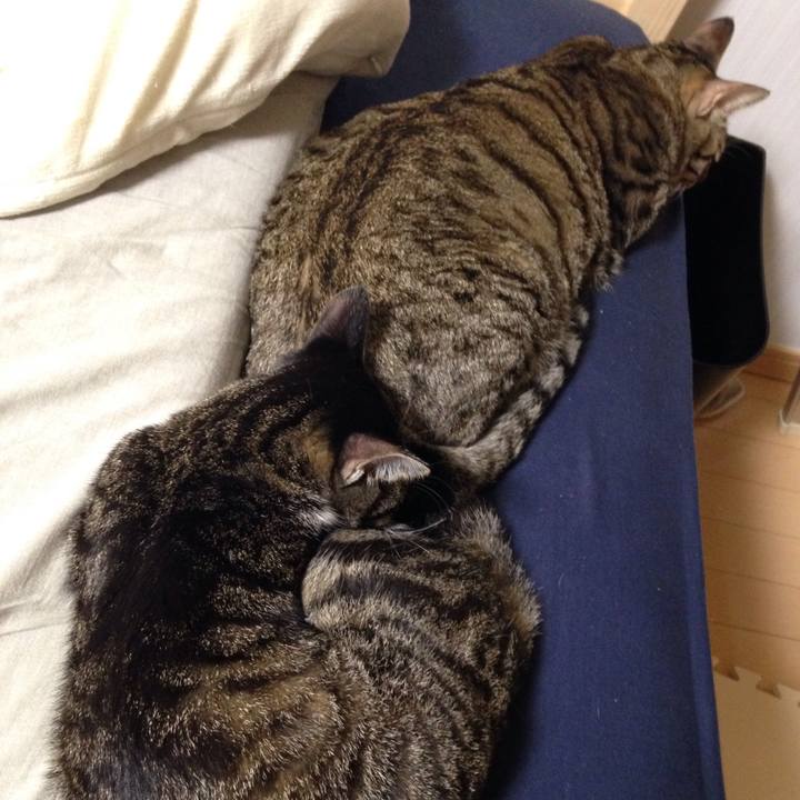 F0357c02 27dd 4850 ba49 a02cd3d91254