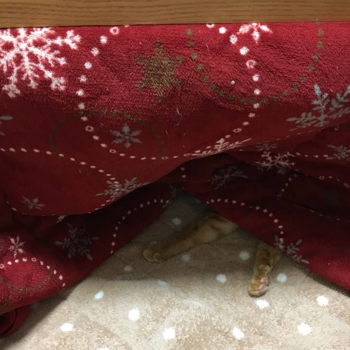 F035f378 327e 4852 b469 6db71786626a