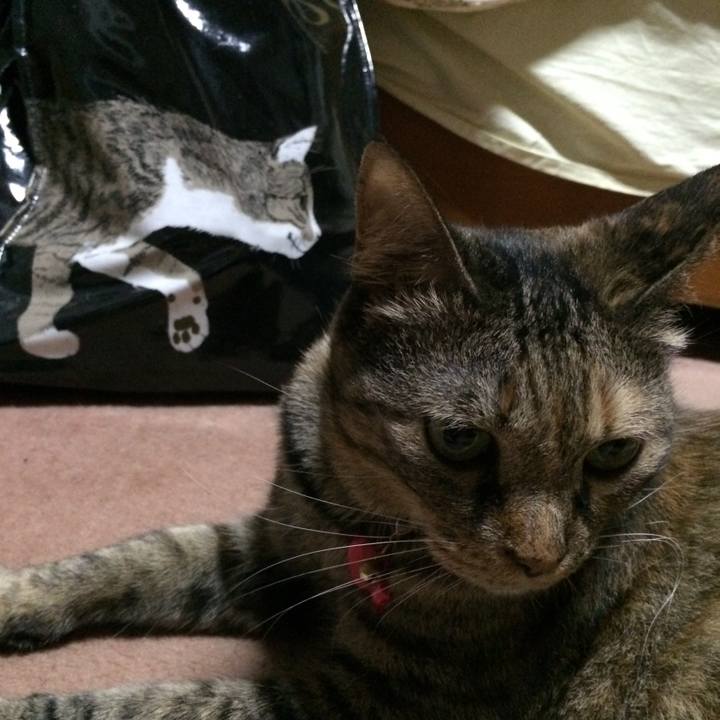 F0369481 cba4 4a08 9f3b 6f1dbdb7f044