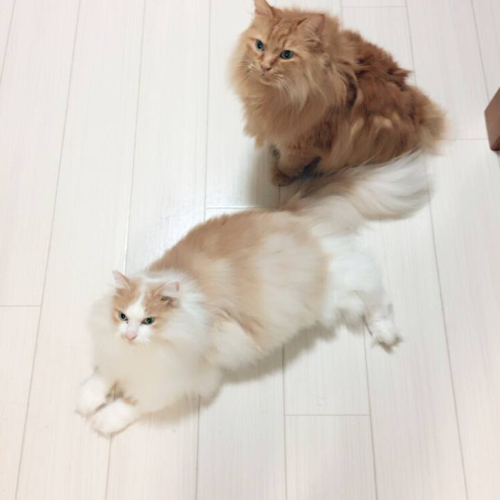 F036b556 d819 4b5a 8d20 5656ccc88c11