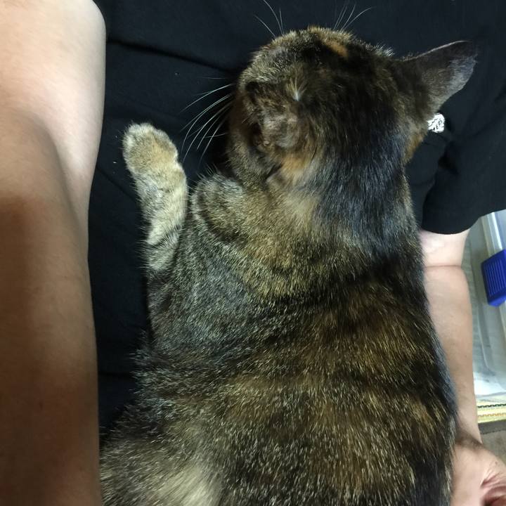 F0370023 6eff 42a4 a70b c2117080bd58