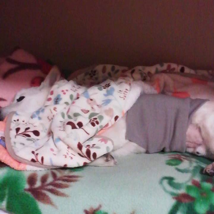 F0383c63 a757 4e21 abc4 f0f4d7310457