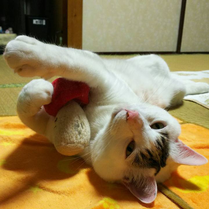 F038591d df5e 45a5 8b40 d28b24ec1757