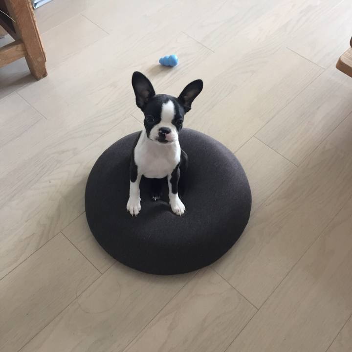 F0386269 9655 472e 833b 0d2e52cfadd6