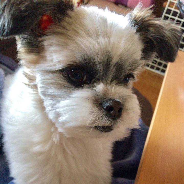 F039dd3d 2e94 4fe7 9236 92ae5dd8f4dd