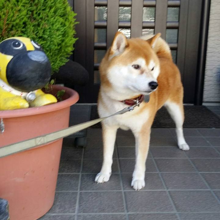 F03a71ff c156 47c9 b550 58f93e28962b