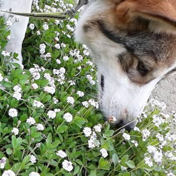 F03af296 c518 4c00 9751 a9ce53fc4d88