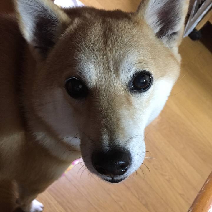 F03b3a1e 3f4d 4251 ba2d a0aaeca079b9