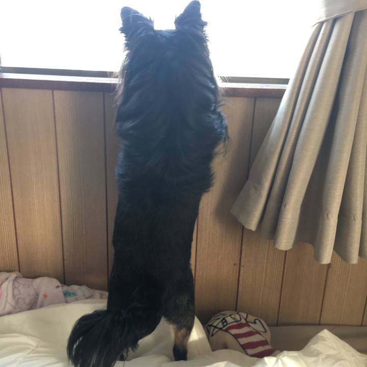 F03b3b50 964d 405d b87d 0ecba5bd6135