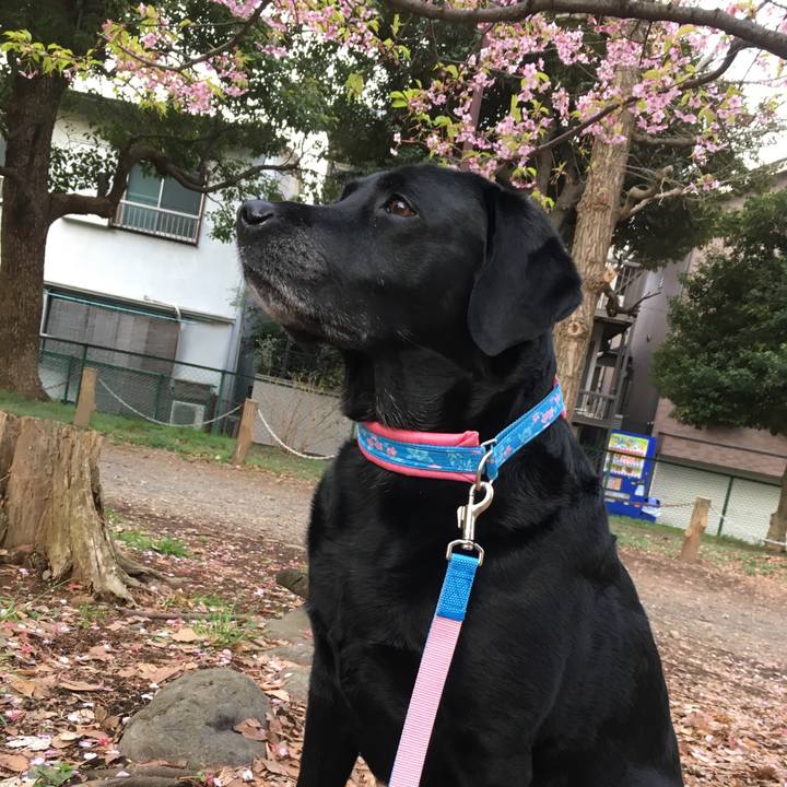 F03ba3bf 274e 4cf1 9e6f 9e991d296749