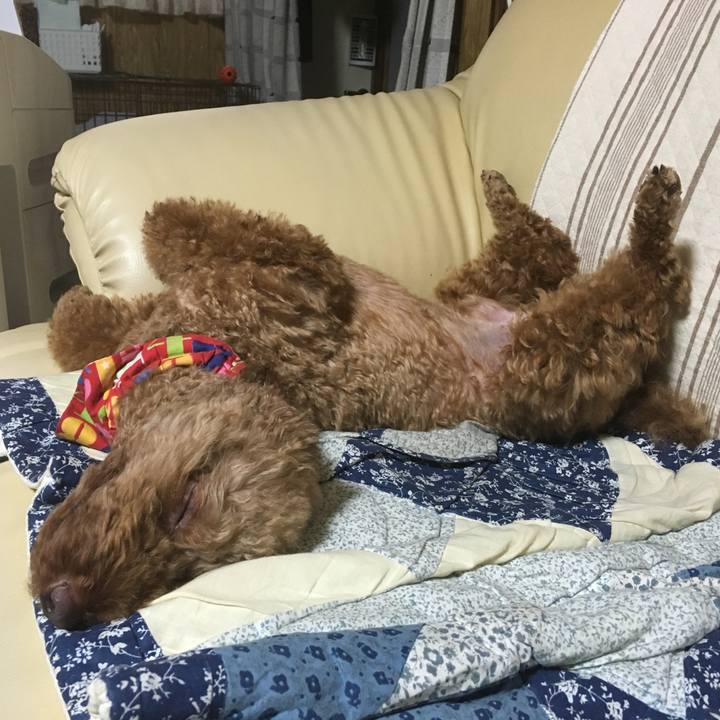 F03c8946 3b42 4d3a 9ac3 8d137234f6fa