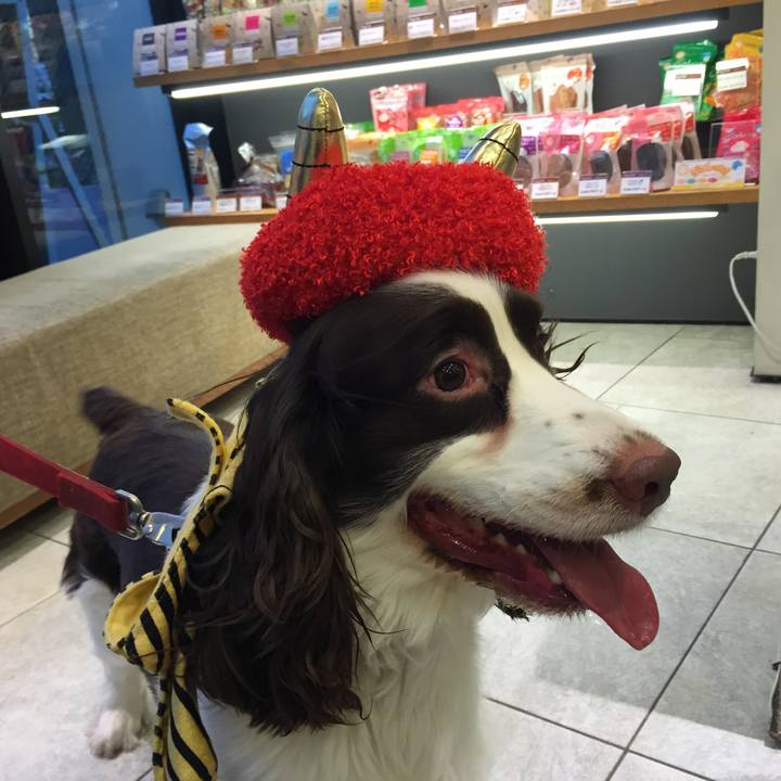 F03c8f69 1428 4b50 af63 7330f369b931