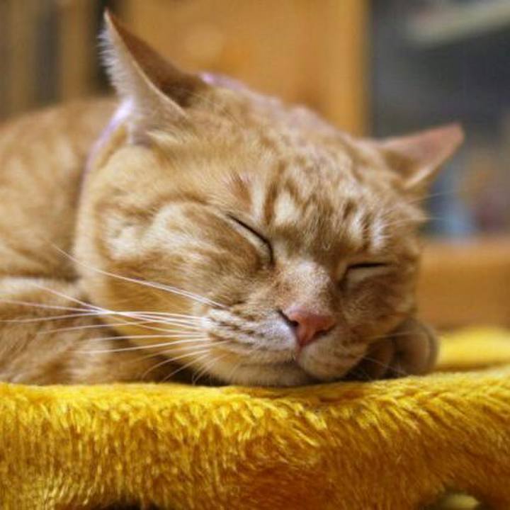 F03d3700 dc9c 41ec a68d 3174de5ade72