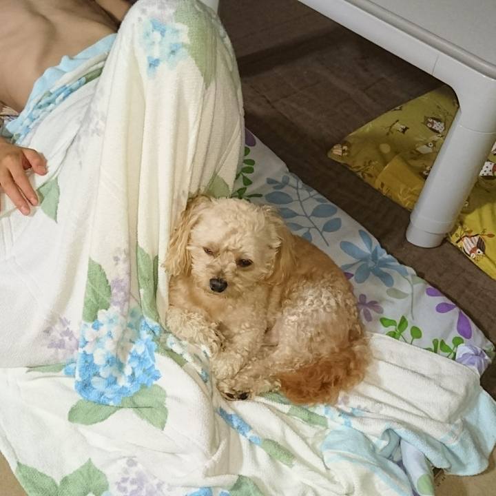 F03d9fab 2a1d 40e5 8cf1 ca2b1adc8e54