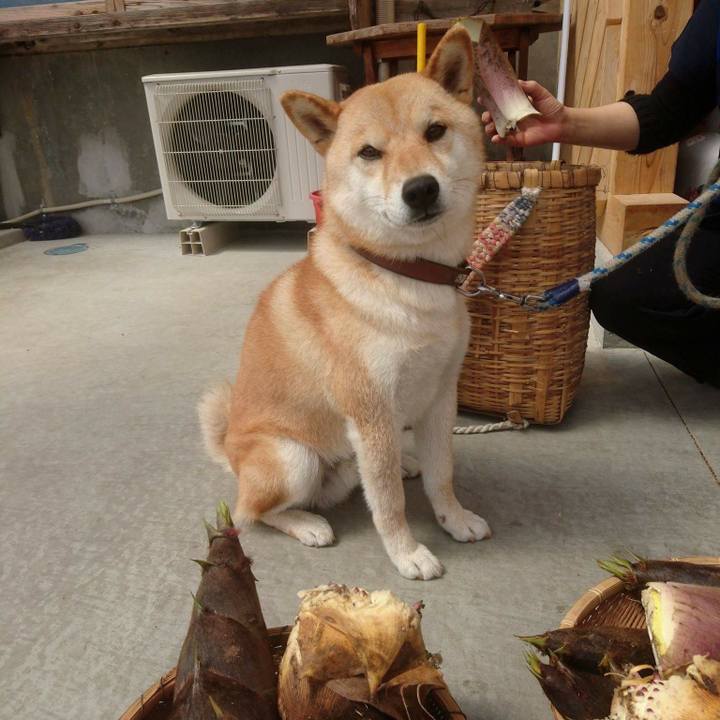 F03e052c 83f5 4e2b 847c 9e3aa0496cca