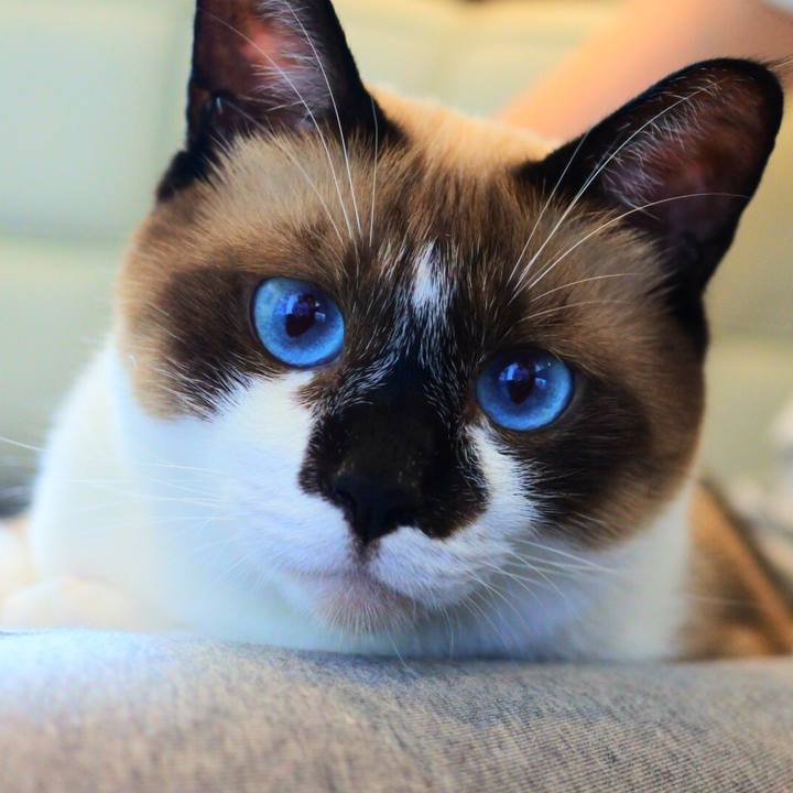 F03e678d 9690 4d8d 8118 4809ac84e747