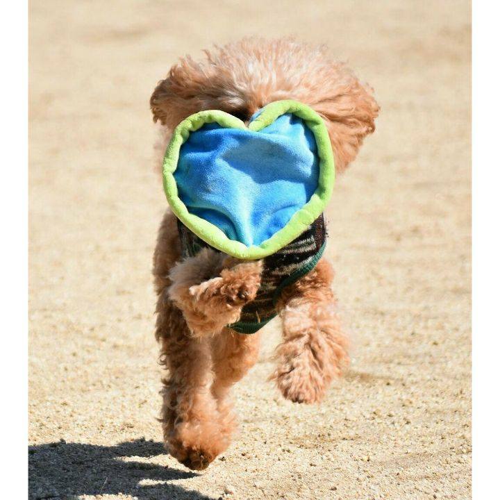 F03f0cb5 5c0d 4d84 a52a e3d73e0a85bc