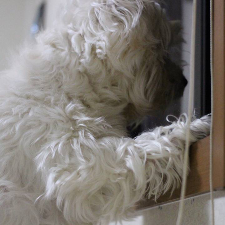 F0403fd2 a592 416b a376 3ce2c2ff035a