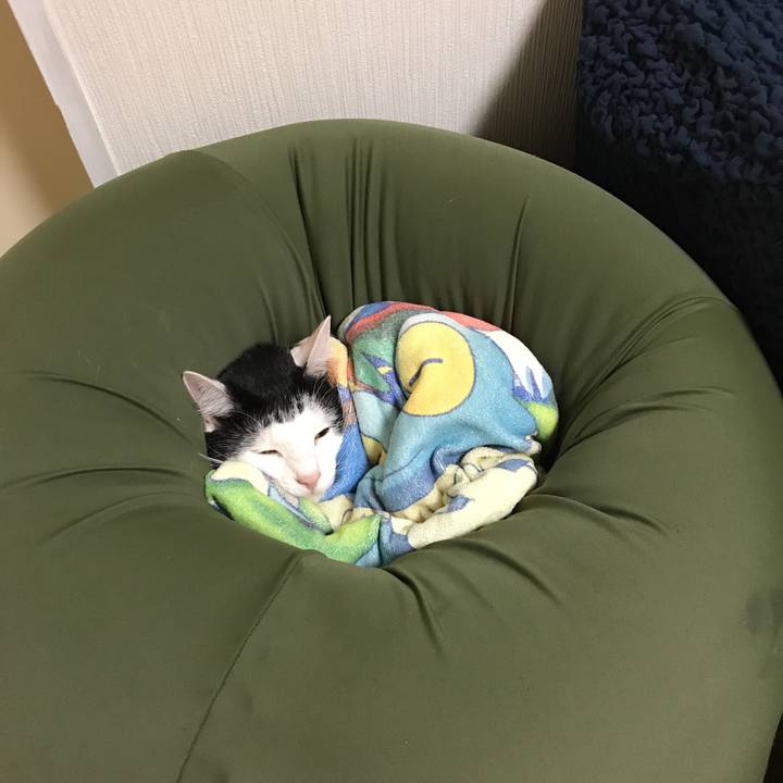 F04078bf 4086 451a 8070 e004bb6d0368