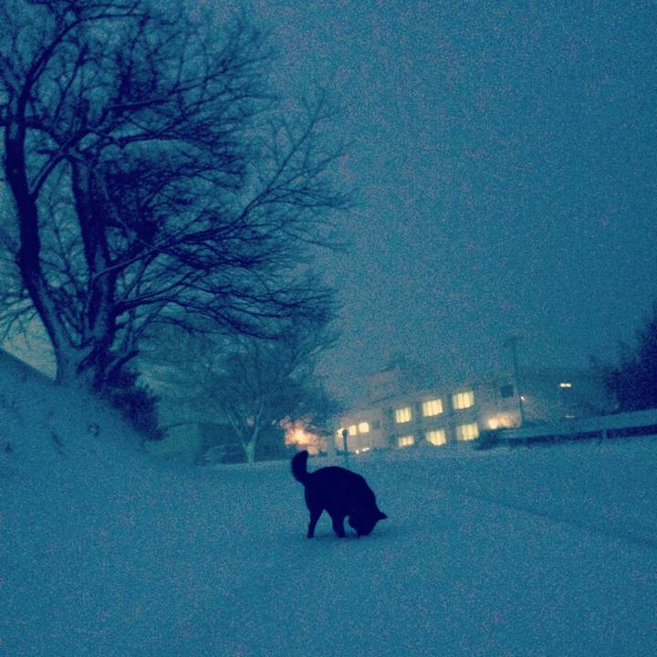 F040a8f5 943c 43b5 b44a 8bb1696459f3