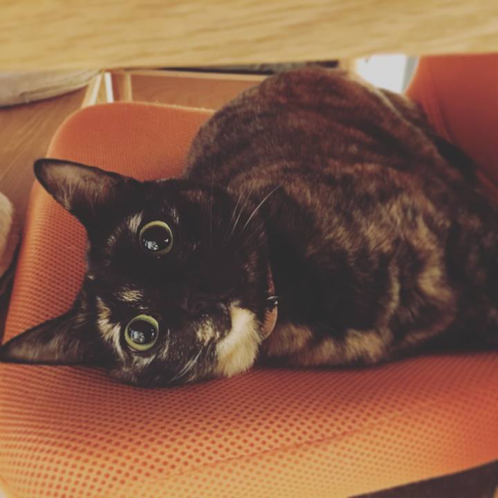 F0413949 e7e5 4d4e adb1 67e9646d8b2c