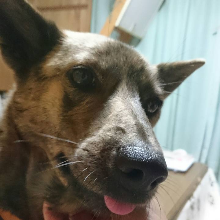 F0413fe3 28fe 4412 89e8 0774d1649fc6