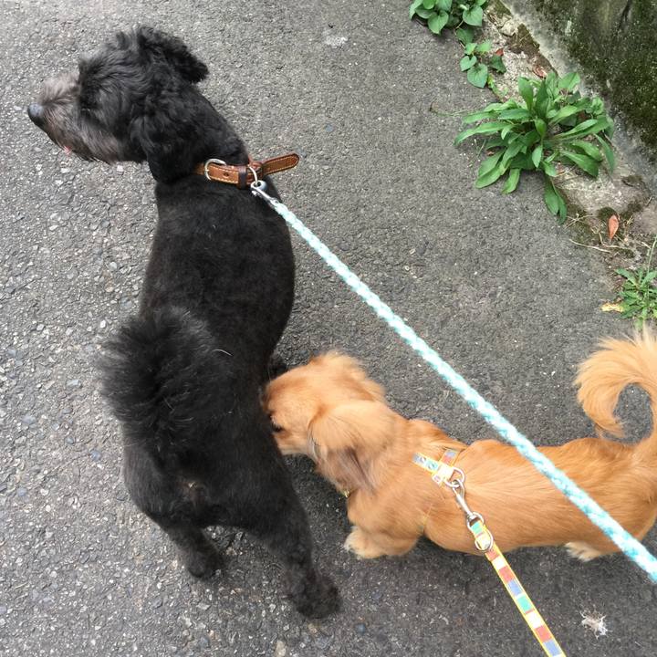 F041aab3 aca8 46b1 bb13 28e007810272