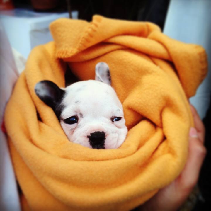 F041ea80 b080 4556 aeb5 5b851d8d0c96