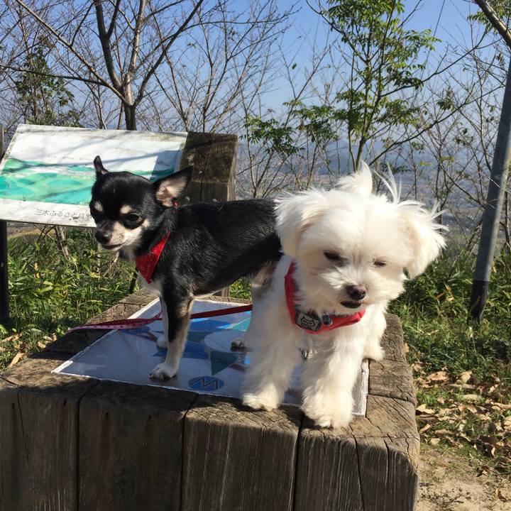 F042b647 35dd 4724 97b8 813474172789