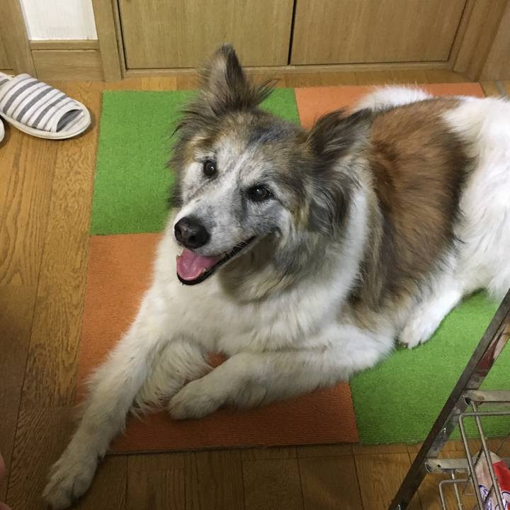 F042d90f d7fe 45ee ab16 c1259c5495ba